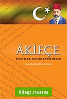 Akifçe Tespitler Değerlendirmeler