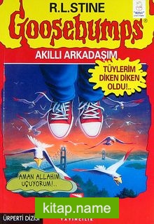 Akıllı Arkadaşım