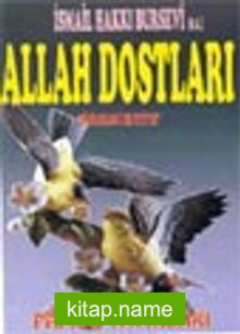 Allah Dostları (Tasavvuf-010)