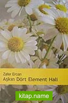 Aşkın Dört Element Hali