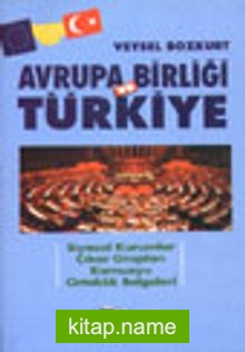 Avrupa Birliği ve TürkiyeSiyasal Kurumlar Çıkar GruplarıKamuoyu Ortaklık Belgeleri