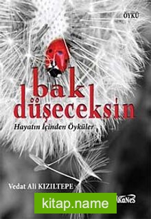 Bak Düşeceksin Hayatın İçinden Öyküler
