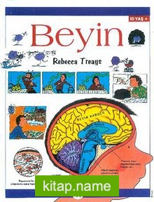 Beyin