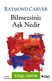 Bilmezsiniz Aşk Nedir