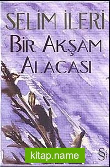 Bir Akşam Alacası