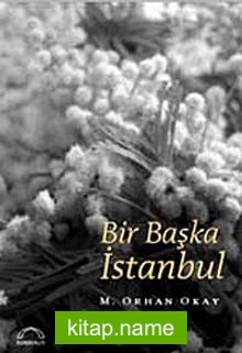 Bir Başka İstanbul