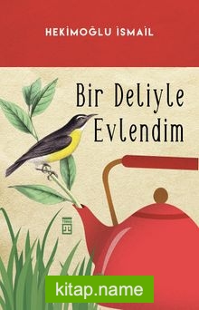 Bir Deliyle Evlendim