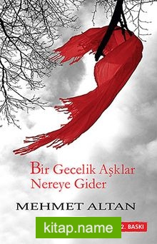 Bir Gecelik Aşklar Nereye Gider