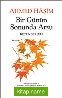 Bir Günün Sonunda Arzu  Bütün Şiirleri