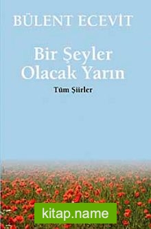 Bir Şeyler Olacak  Yarın / Tüm Şiirler