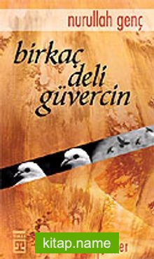 Birkaç Deli Güvercin