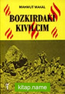 Bozkırdaki Kıvılcım