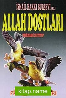 Celvetiyye Yolunda Allah Dostları (Silsilename-i Celvetiyye)