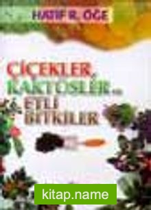 Çiçekler Kaktüsler ve Etli Bitkiler