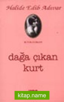 Dağa Çıkan Kurt