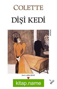 Dişi Kedi