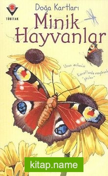 Doğa Kartları / Minik Hayvanlar