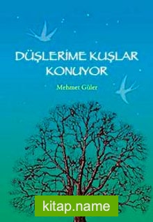 Düşlerime Kuşlar Konuyor