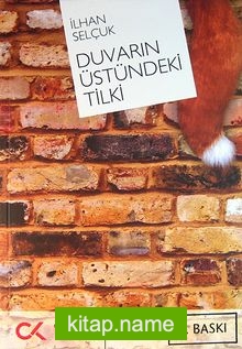 Duvarın Üstündeki Tilki