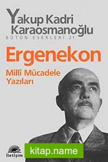 Ergenekon  Milli Mücadele Yazıları