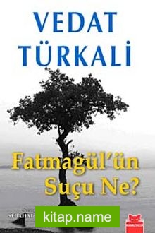 Fatmagül’ün Suçu Ne?