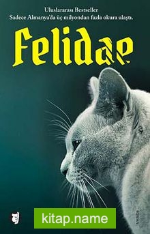 Felidae