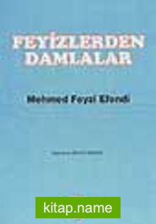 Feyizlerden Damlalar/ Mehmed Feyzi Efendi