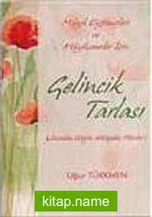 Gelincik Tarlası