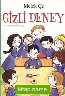 Gizli Deney