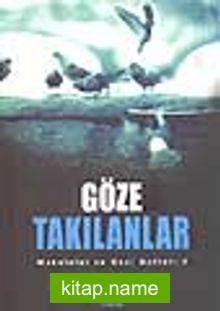 Göze Takılanlar / Makaleler ve Gezi Notları 2