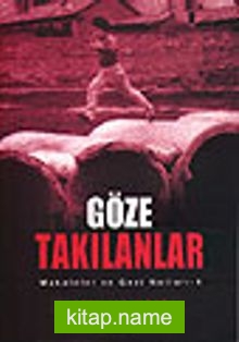 Göze Takılanlar / Makaleler ve Gezi Notları 4