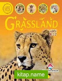 Grassland