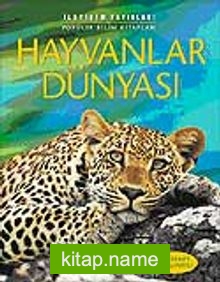 Hayvanlar Dünyası