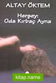 Herşey: Oda Kırbaç Ayna