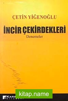 İncir Çekirdekleri-Denemeler