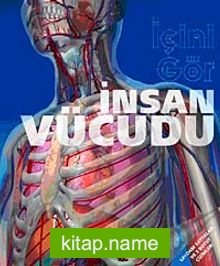İnsan Vücudu-İçini Gör