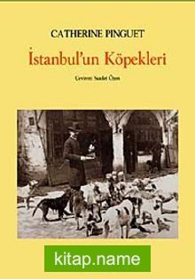 İstanbul’un Köpekleri