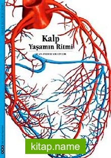 Kalp  Yaşamın Ritmi