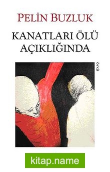 Kanatları Ölü Açıklığında