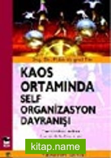 Kaos Ortamında Self Organizasyon Davranışı