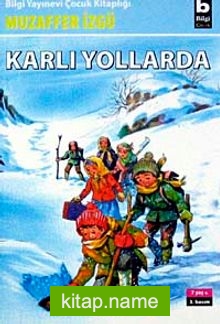 Karlı Yollarda