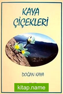 Kaya Çiçekleri