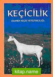 Keçicilik (Saanen Keçisi Yetiştiriciliği)