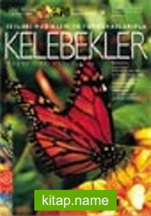 Kelebekler Vadisi – CD Kitap