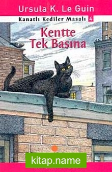 Kentte Tek Başına / Kanatlı Kediler Masalı 4