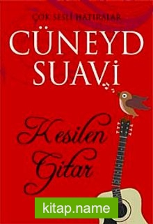 Kesilen Gitar