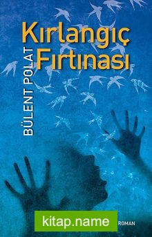 Kırlangıç Fırtınası