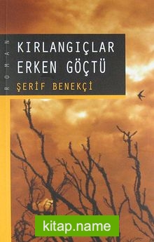 Kırlangıçlar Erken Göçtü