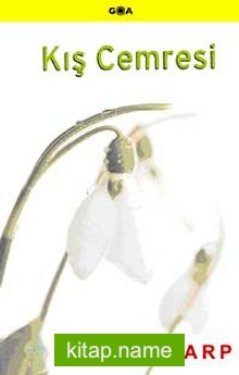 Kış Cemresi