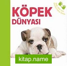 Köpek Dünyası